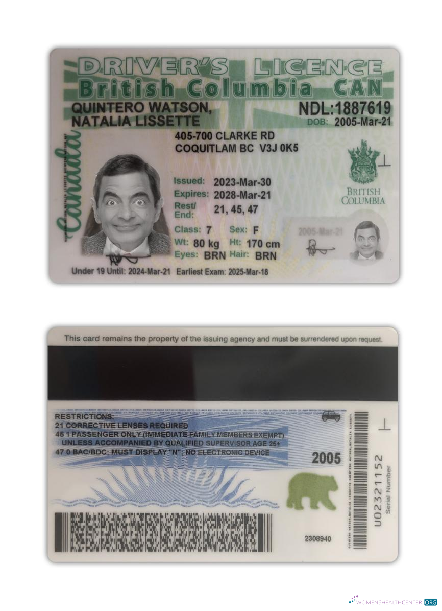 download Canada British Columbia driving license 2021 present